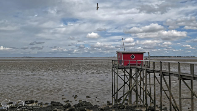 Les carrelets de Fouras