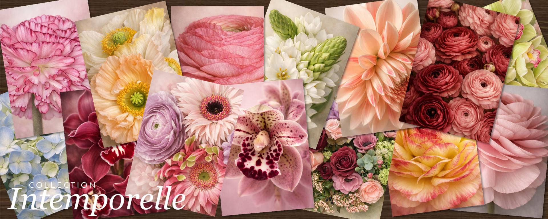 Collection Intemporelle