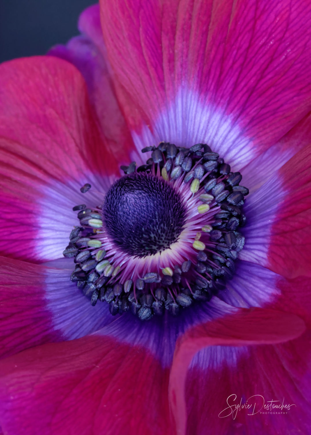 B3_2111_9295_web