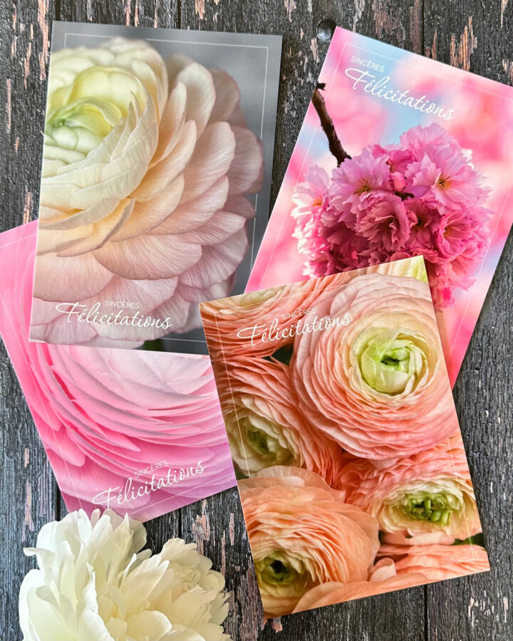 Cartes florales