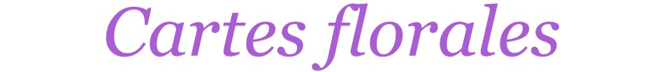 Carterie florale artisanale - Création française