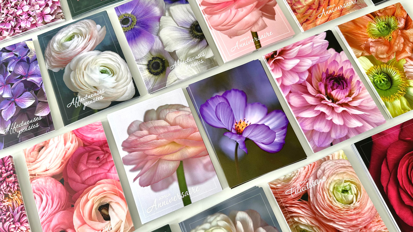 Cartes florales LES P'TITS INSTANTS, imaginées pour les fleuristes et les amoureux des fleurs, pour accompagner les instants précieux : Anniversaire - Félicitations - Mots doux - Deuil - Remerciements