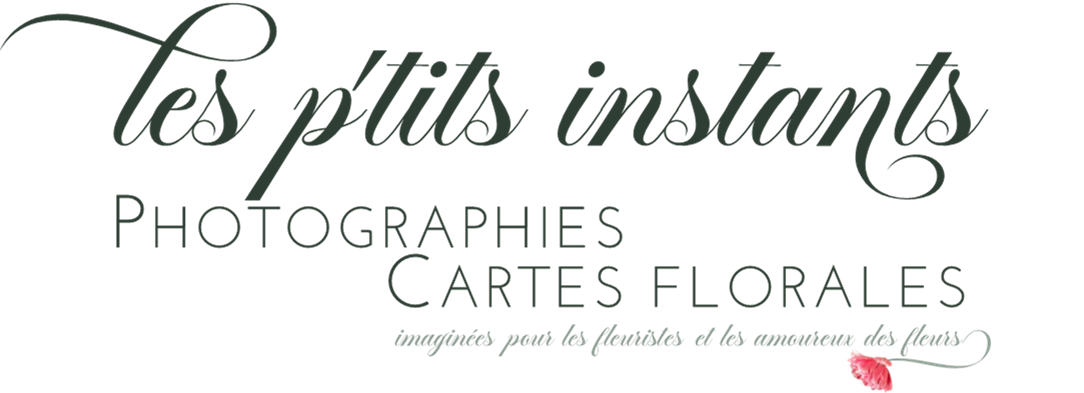 Photographies • Cartes florales