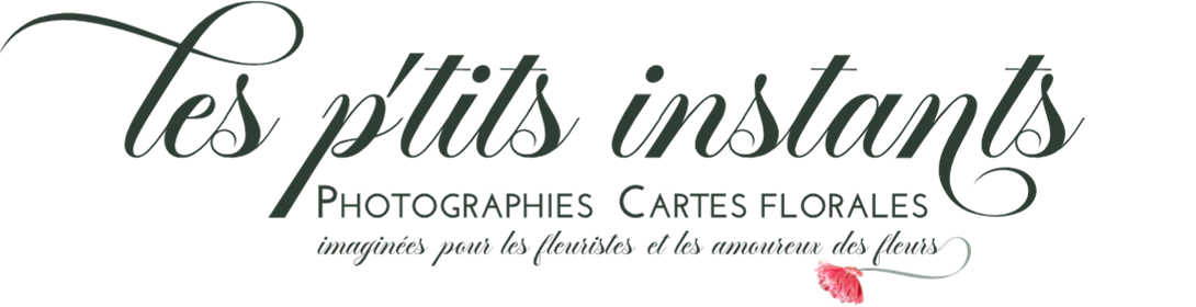 Photographies • Cartes florales