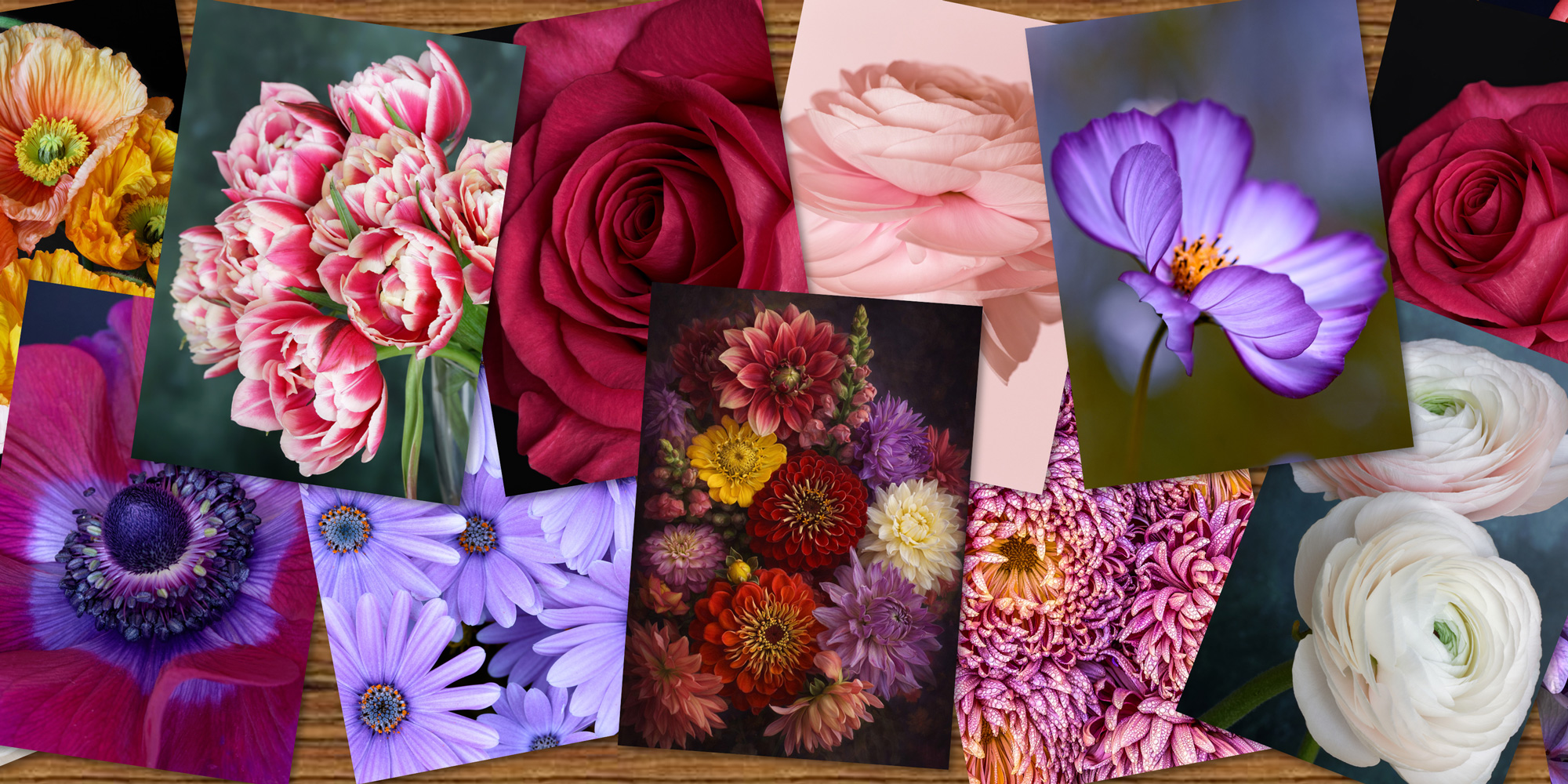 Collection ESSENTIELLE