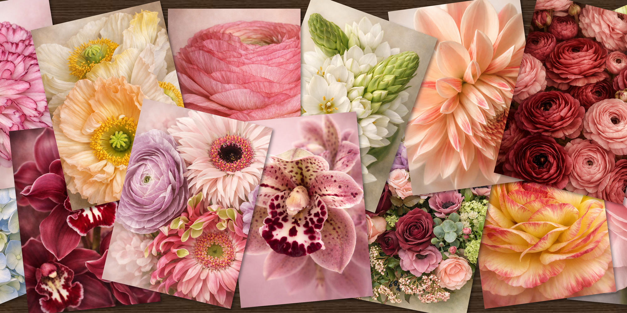 Collection INTEMPORELLE