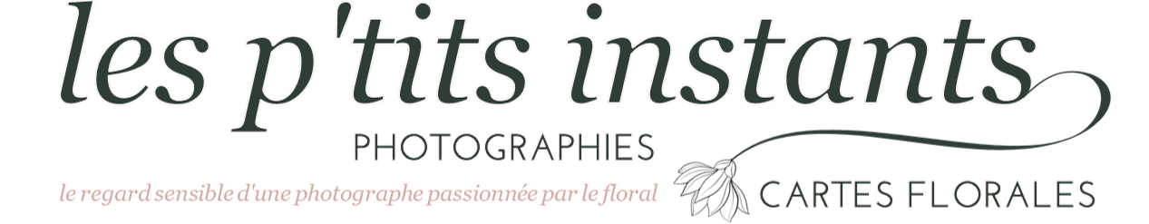 Photographies • Cartes florales