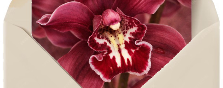 Demander un échantillon