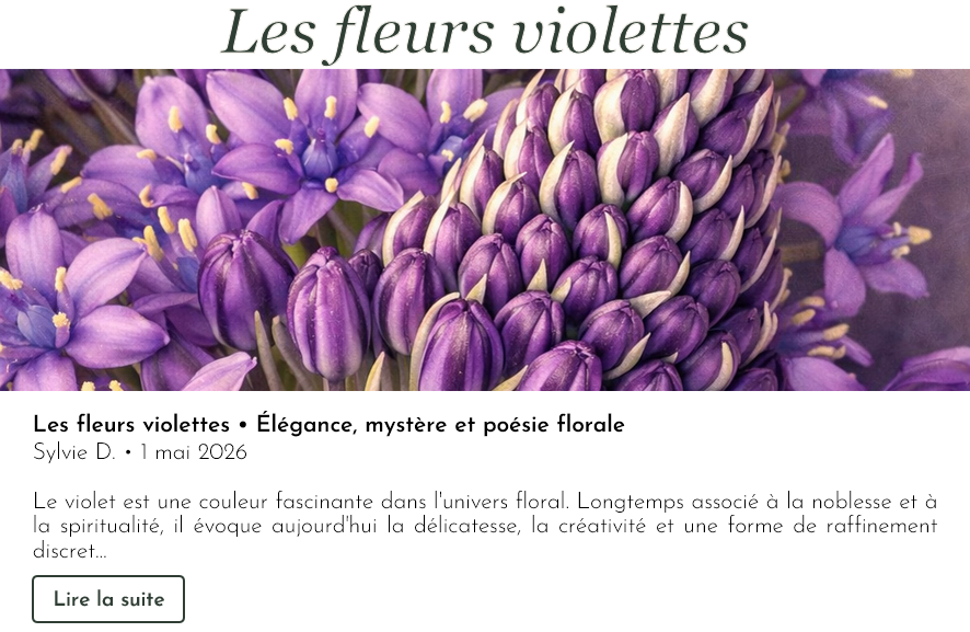 Les fleurs violettes