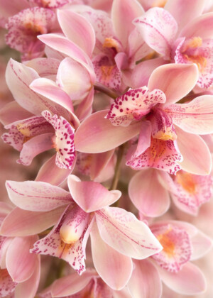 Sans texte Sans texte