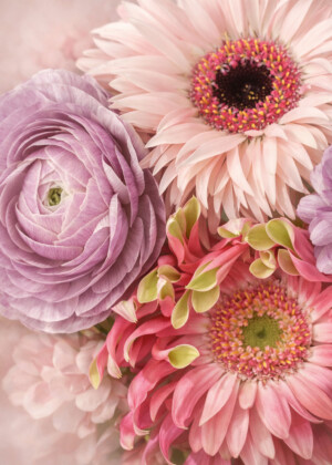 Pastel bloom - Série Multifleurs - T217