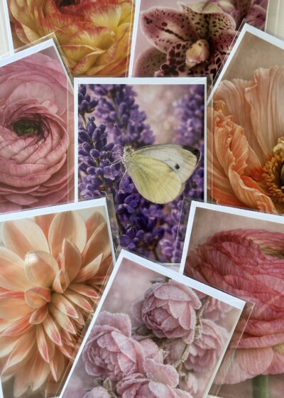 Cartes florales LES P'TITS INSTANTS sans message