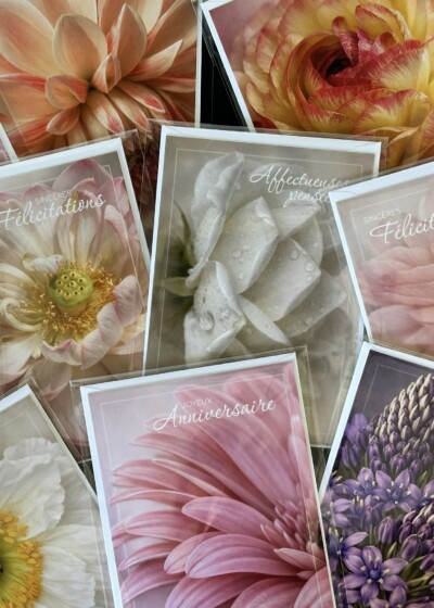 Cartes florales LES P'TITS INSTANTS avec messages