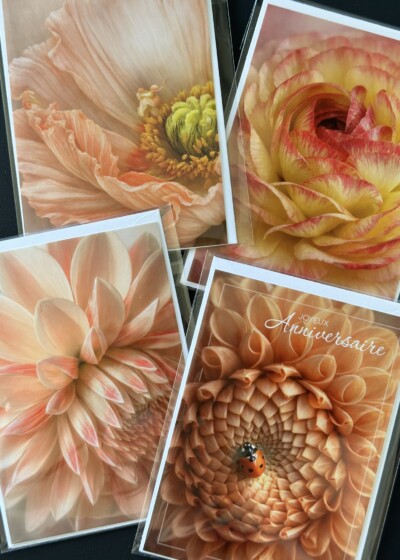 Cartes florales LES P'TITS INSTANTS