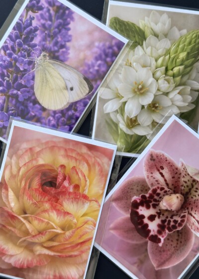 Cartes florales LES P'TITS INSTANTS