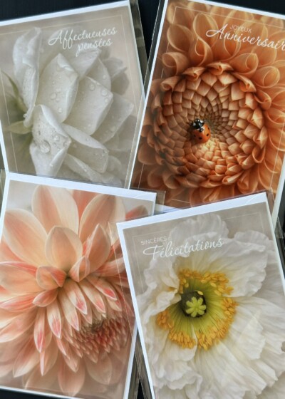 Cartes florales LES P'TITS INSTANTS