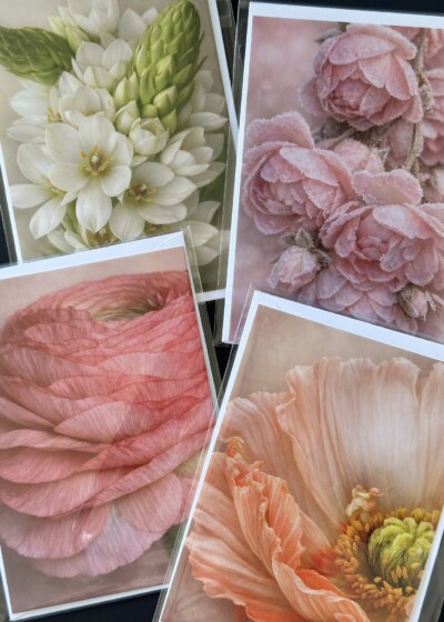 Cartes florales LES P'TITS INSTANTS