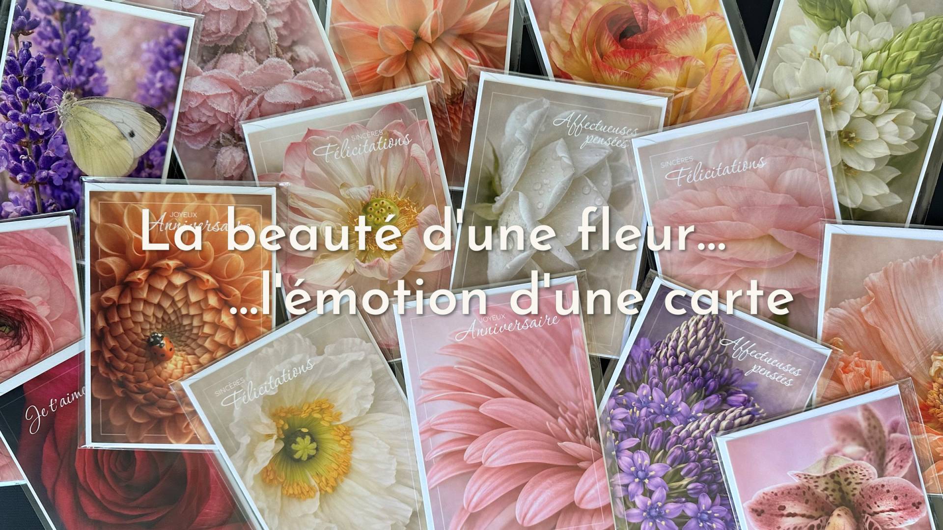 La beauté d'une fleur, l'émotion d'une carte