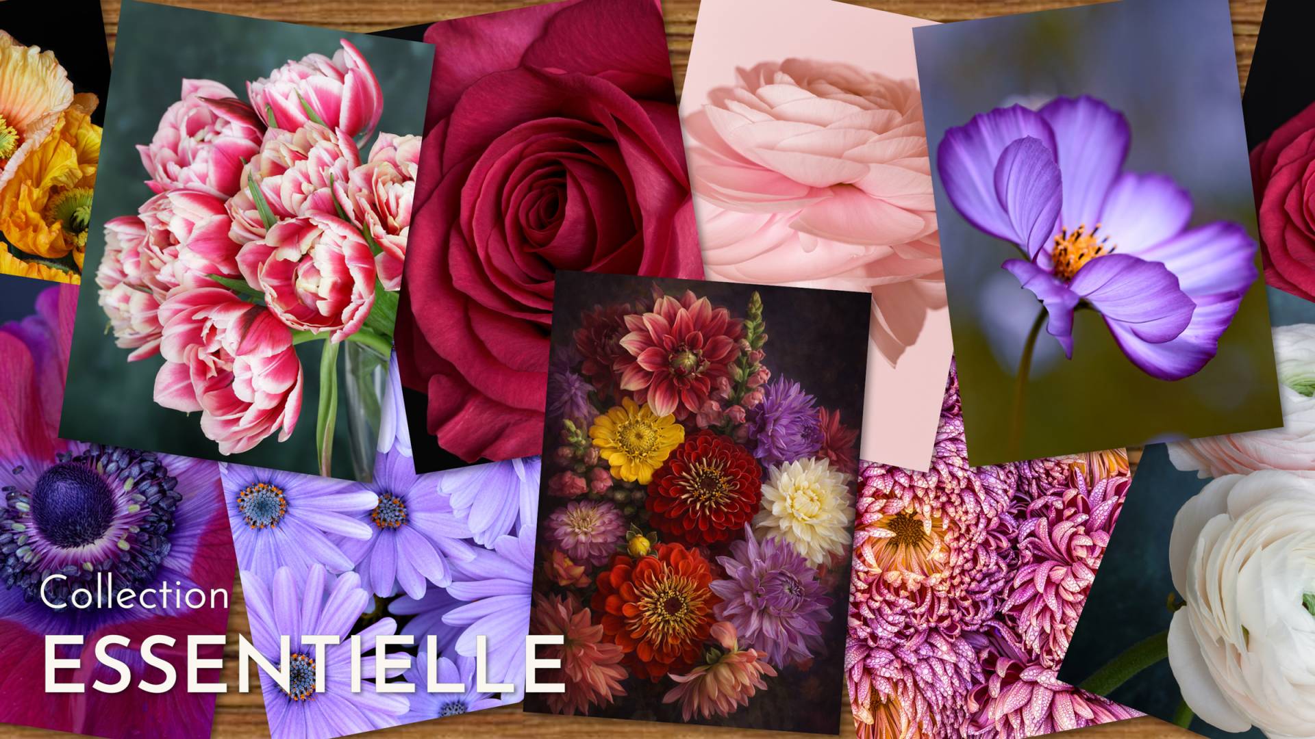 Collection Essentielle