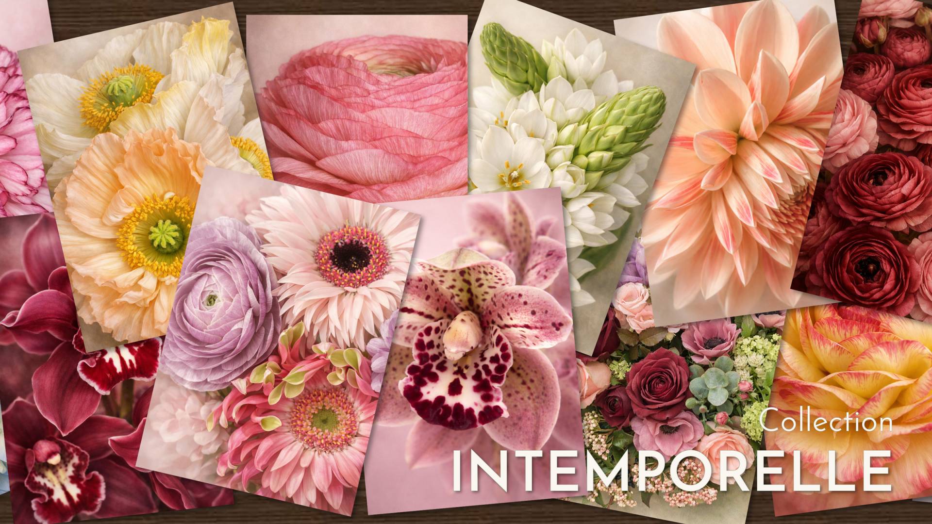 Collection Intemporelle