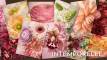 slider2608_4a